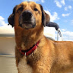 Meet your Posher, Jamie